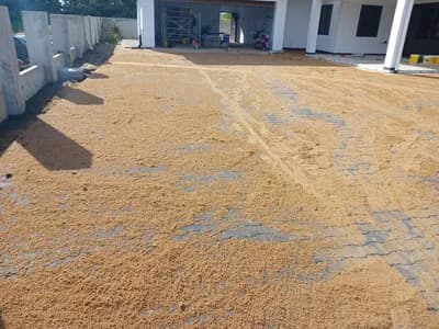 Bestrating en klinkerwerk Wanica — eindresultaat